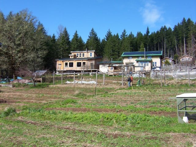 Our garden just a little farther down